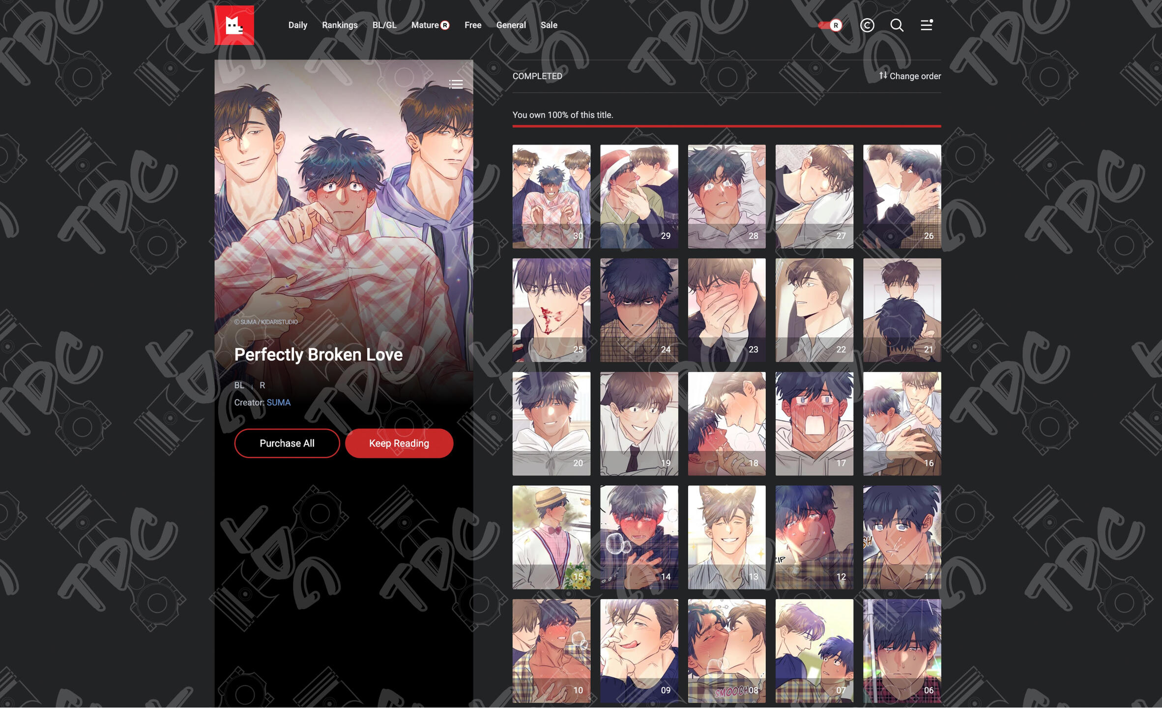 Perfectly Broken Love